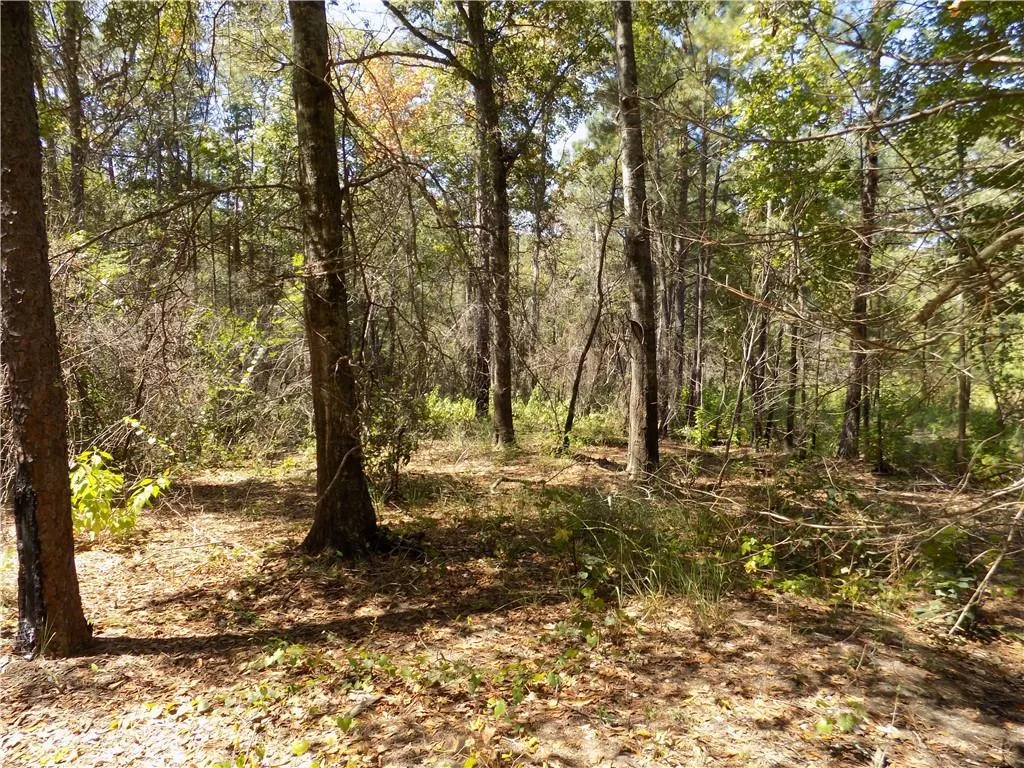 Lot 3 Macon County Road 24, Auburn, AL 36830