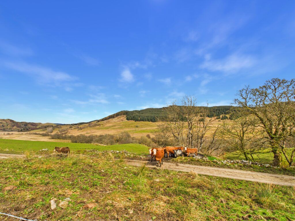 Additional image 43 of 4 bed detached house for saleSheean, Kilmichael Glen, By Lochgilphead, Argyll PA31