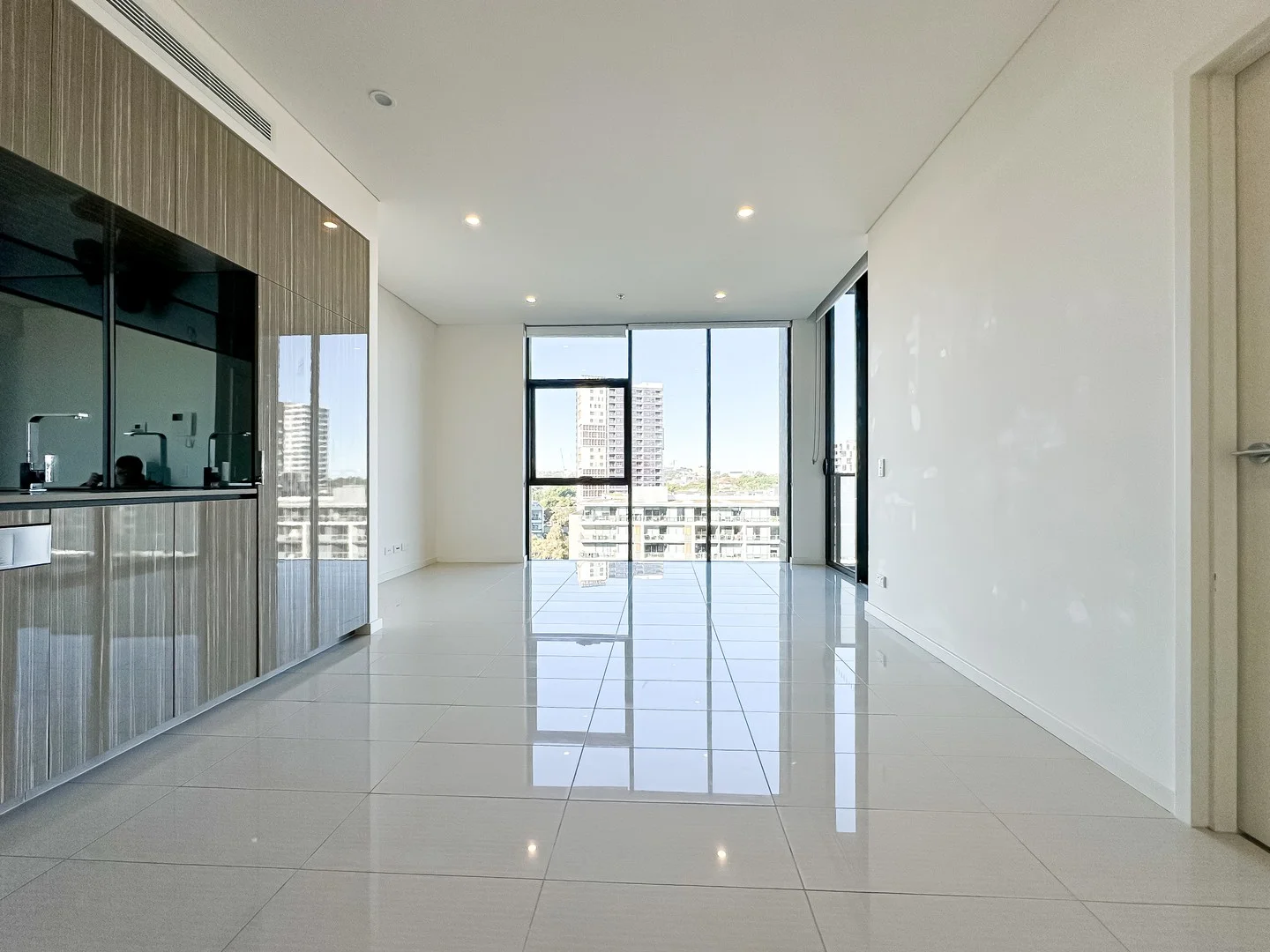 1009/1 Hutchinson Walk, Zetland NSW 2017