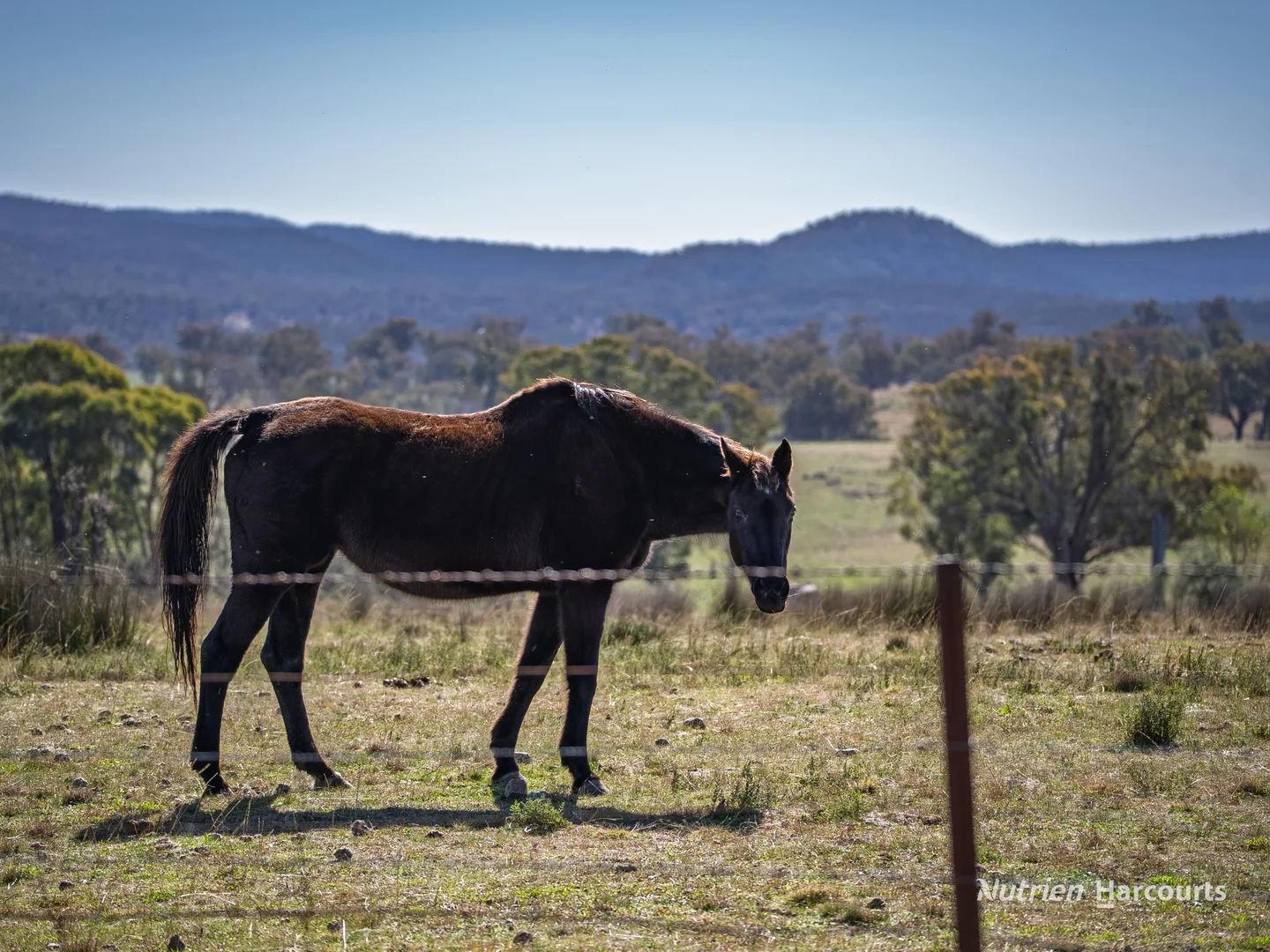 Additional image 34 of Rocky Glen Road, Kingstown NSW 2358