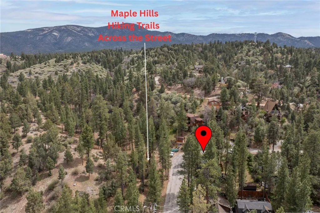 Additional image 62 of 745 Barret Way, Big Bear City, CA 92314