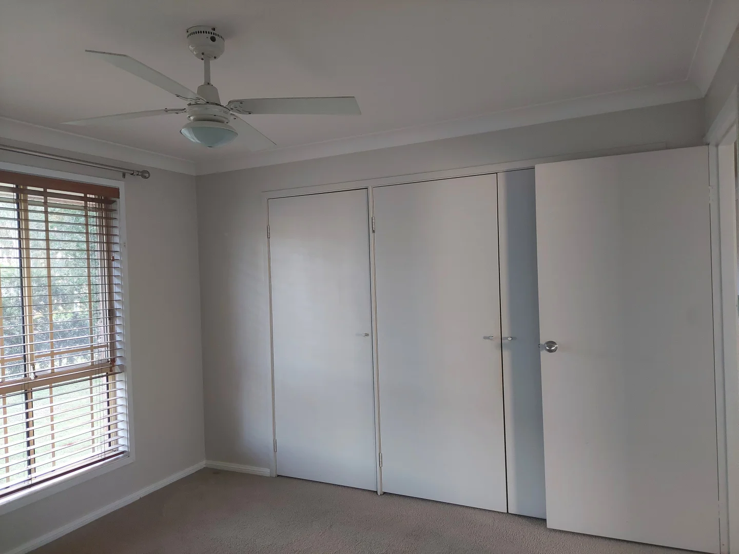 Additional image 9 of 34 Reilly St, Thornton NSW 2322