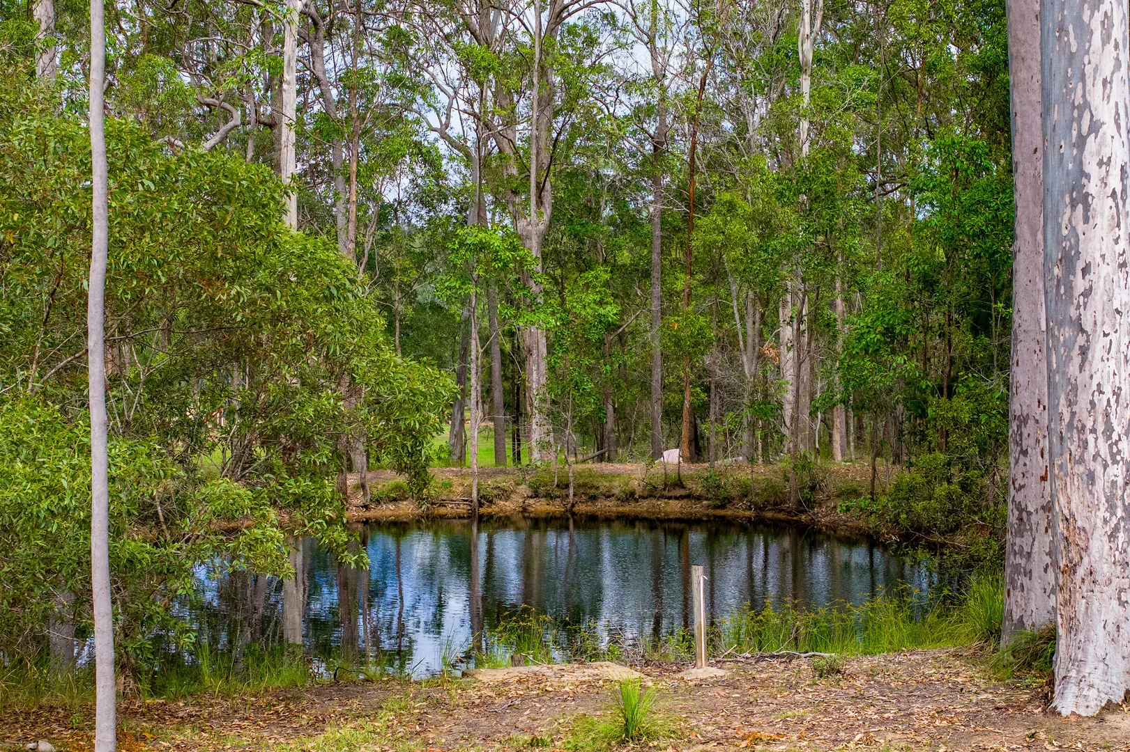 Additional image 19 of 30 Pine Ridge Road, Glenwood QLD 4570