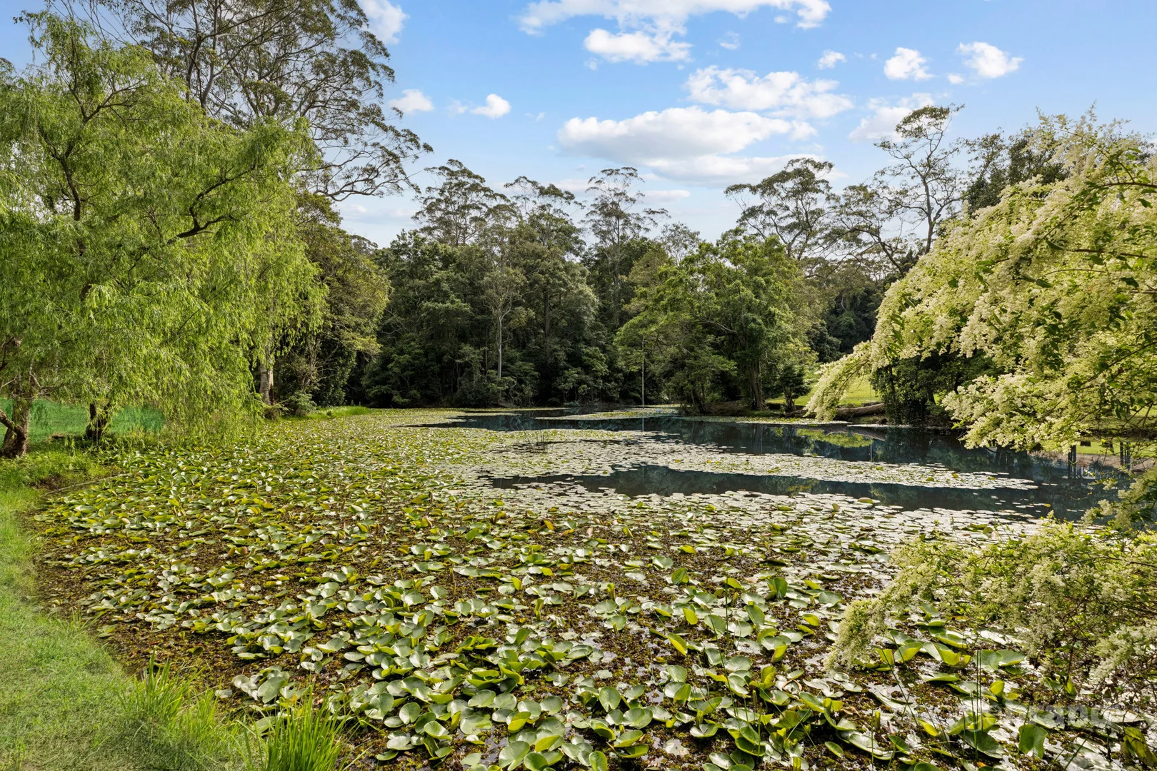 Additional image 16 of 110a Picketts Valley Road, Picketts Valley NSW 2251