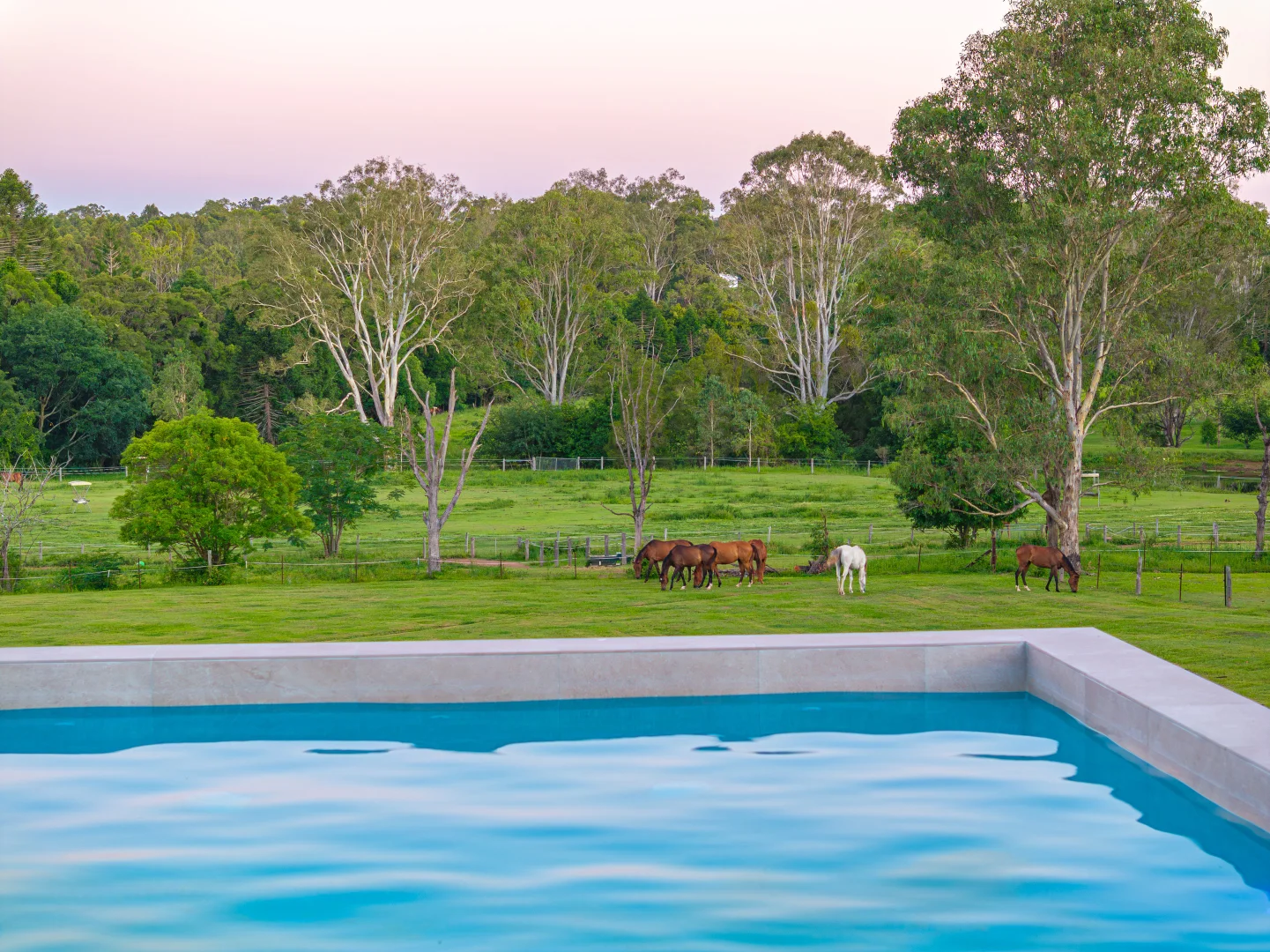 Additional image 22 of 46 Green Trees Road, Pie Creek QLD 4570