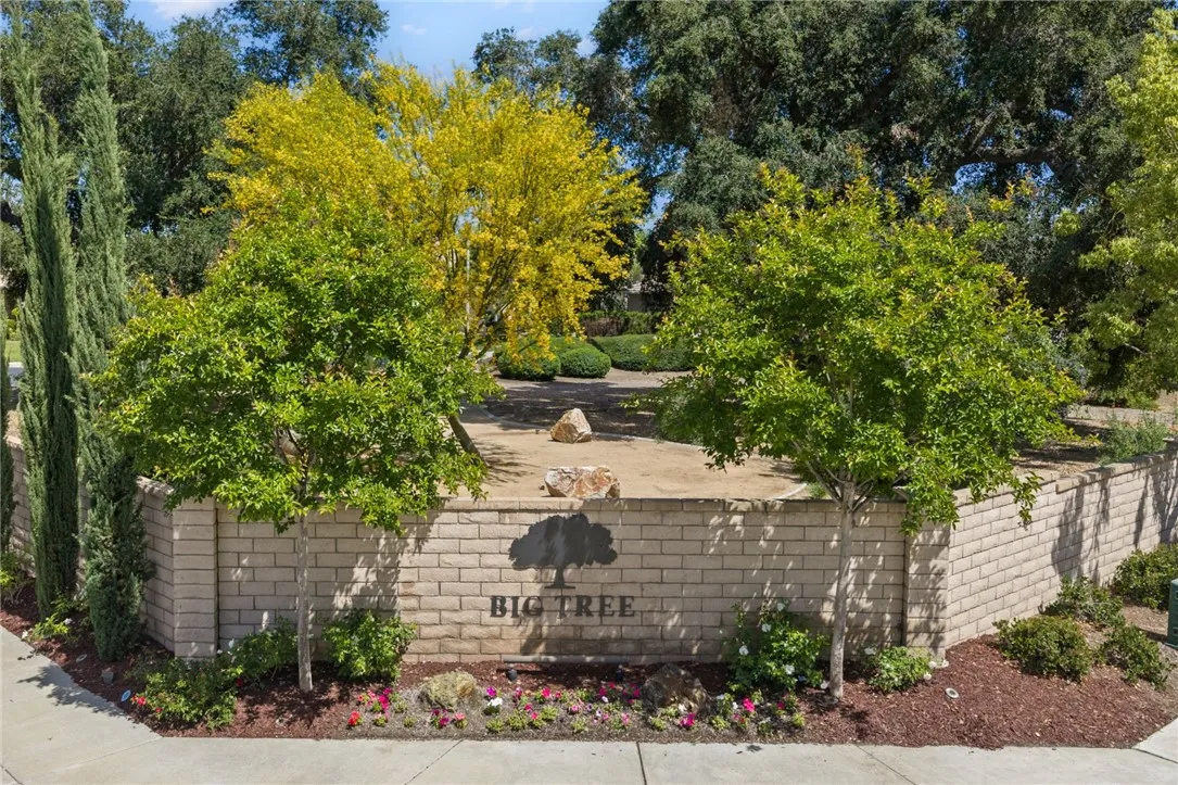 Additional image 97 of 24239 Broad Oak Street, Murrieta, CA 92562