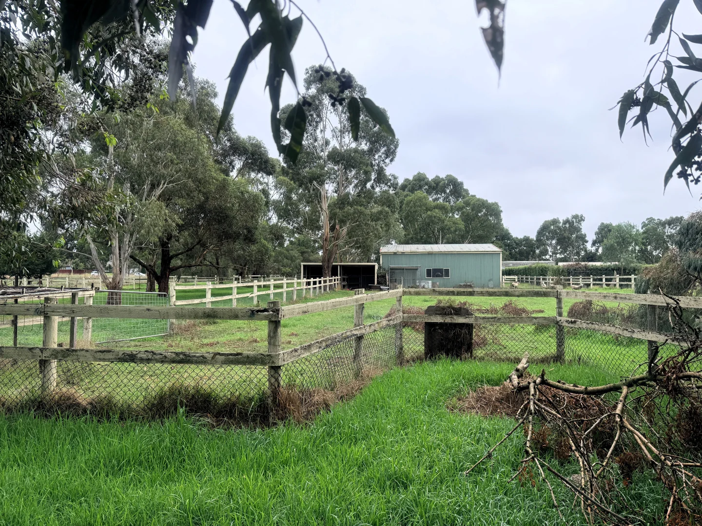 Additional image 16 of 15 GARDEN STREET, Cranbourne East VIC 3977