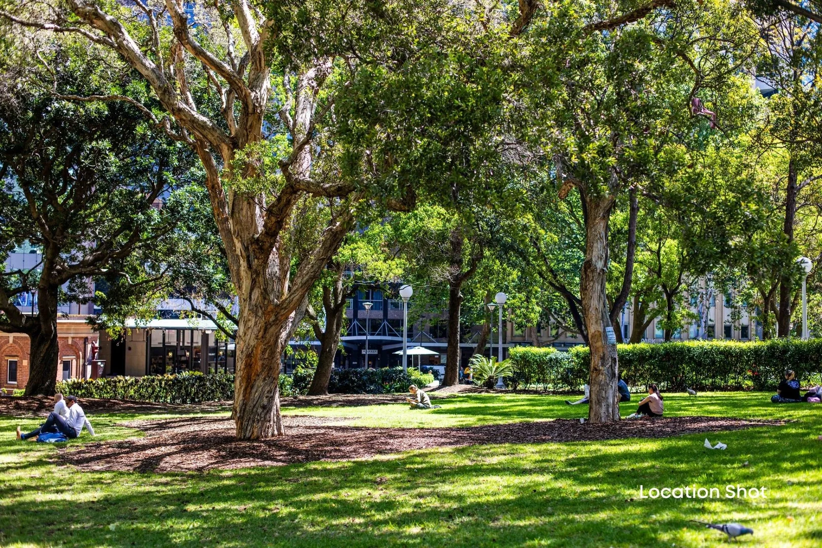 Additional image 6 of 186/19 Tusculum Street, Potts Point NSW 2011