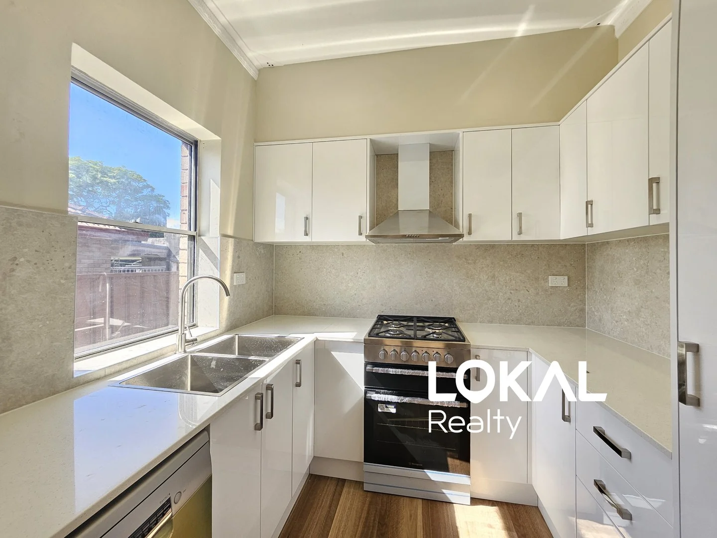 20 Lee Avenue, Beverly Hills NSW 2209