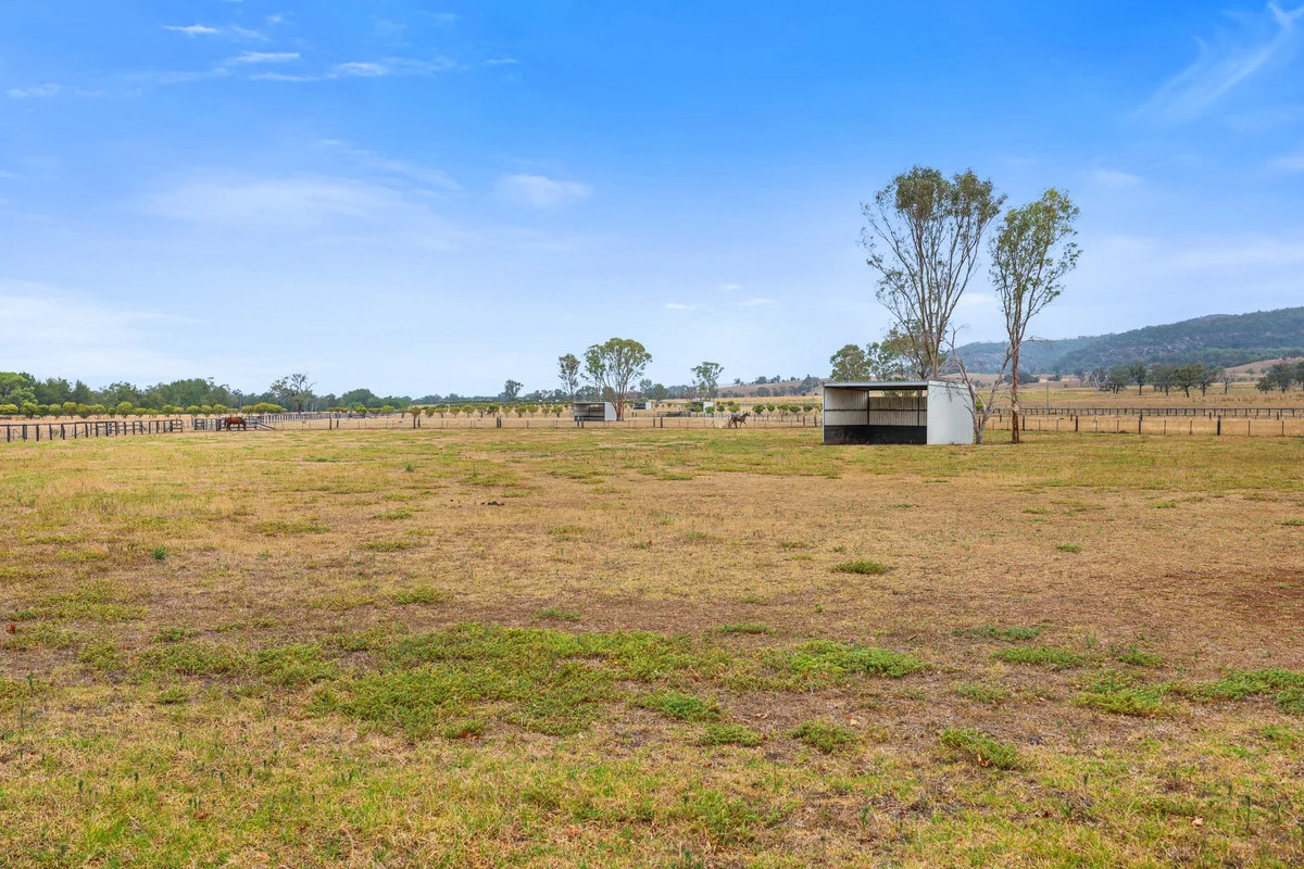 Additional image 16 of 164 Upper Dartbrook Road, Scone NSW 2337