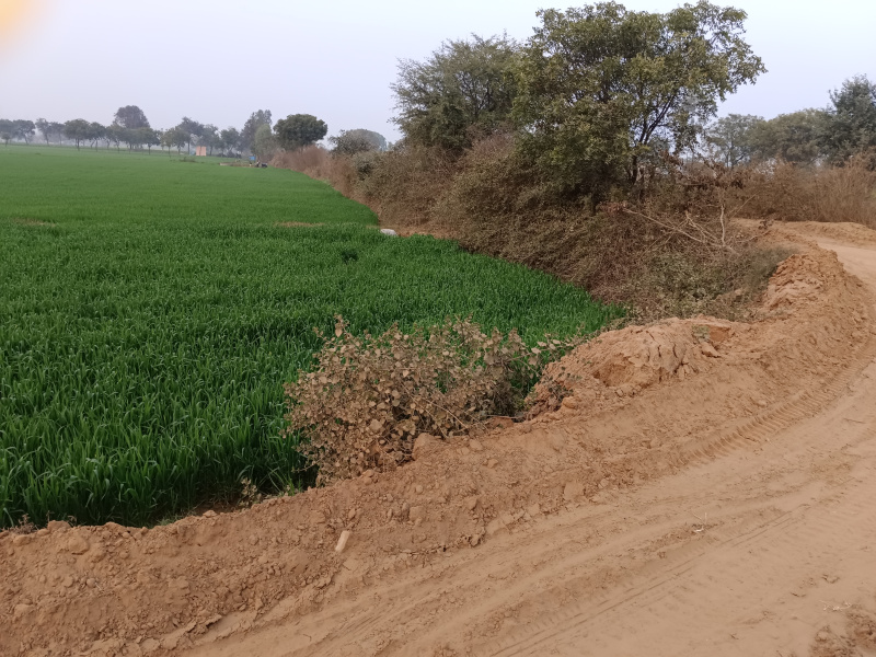 Additional image 2 of Sohna, Gurgaon