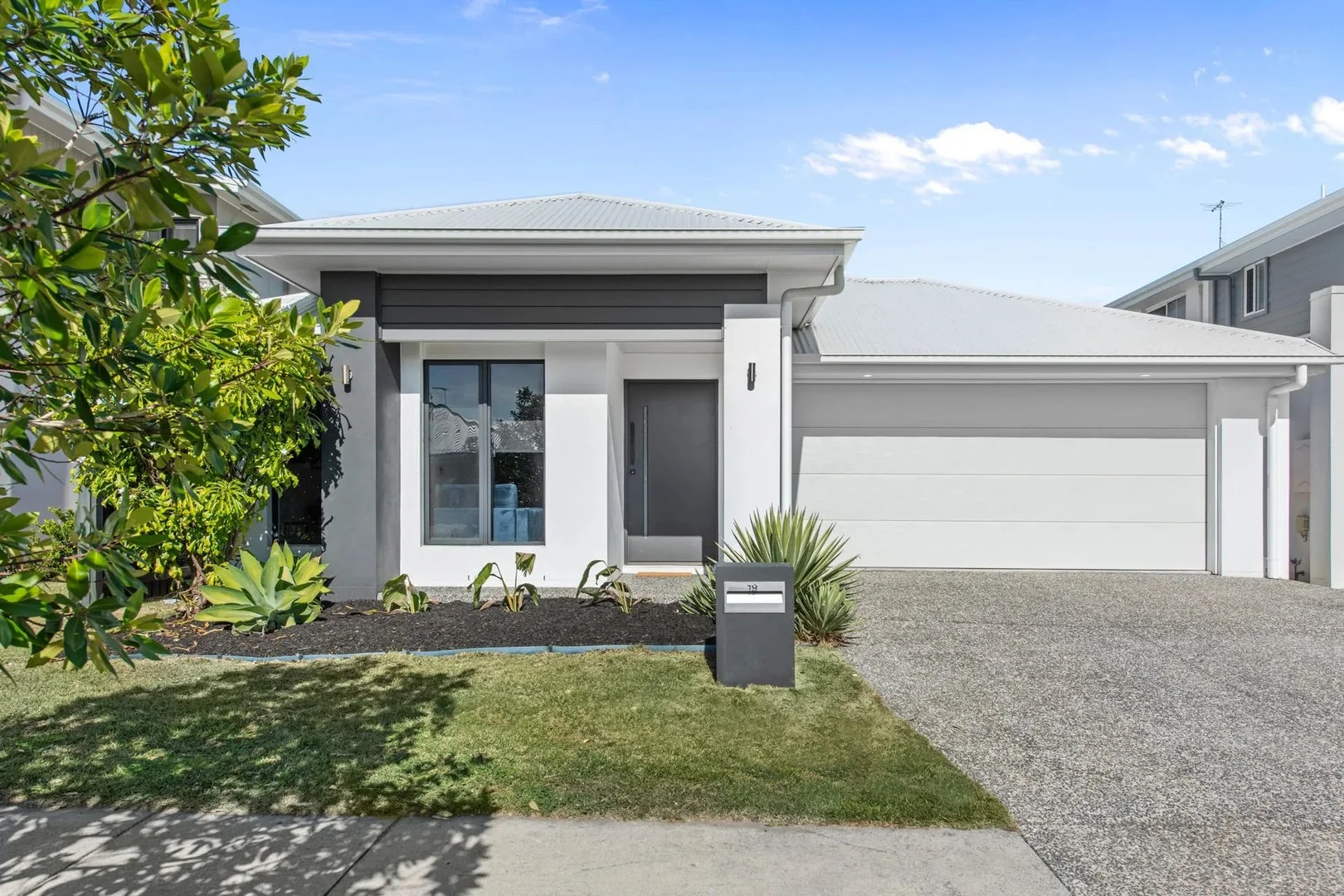 19 Buccaneer Street, Newport QLD 4020