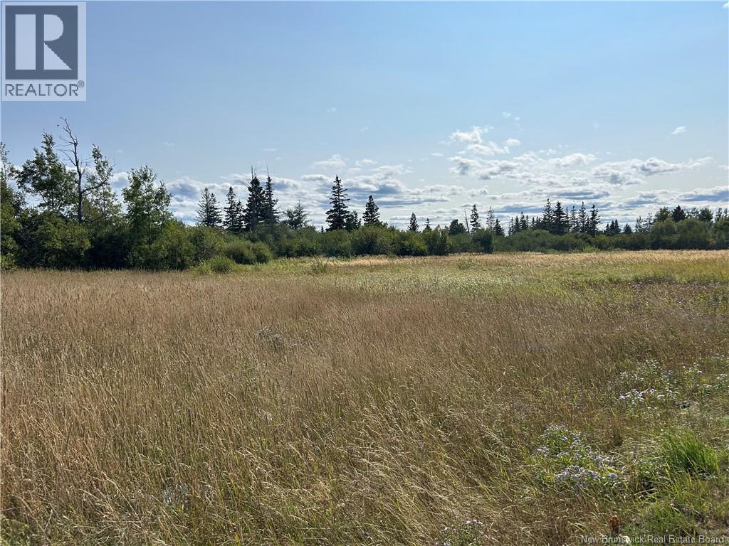 Lot St-Pierre O