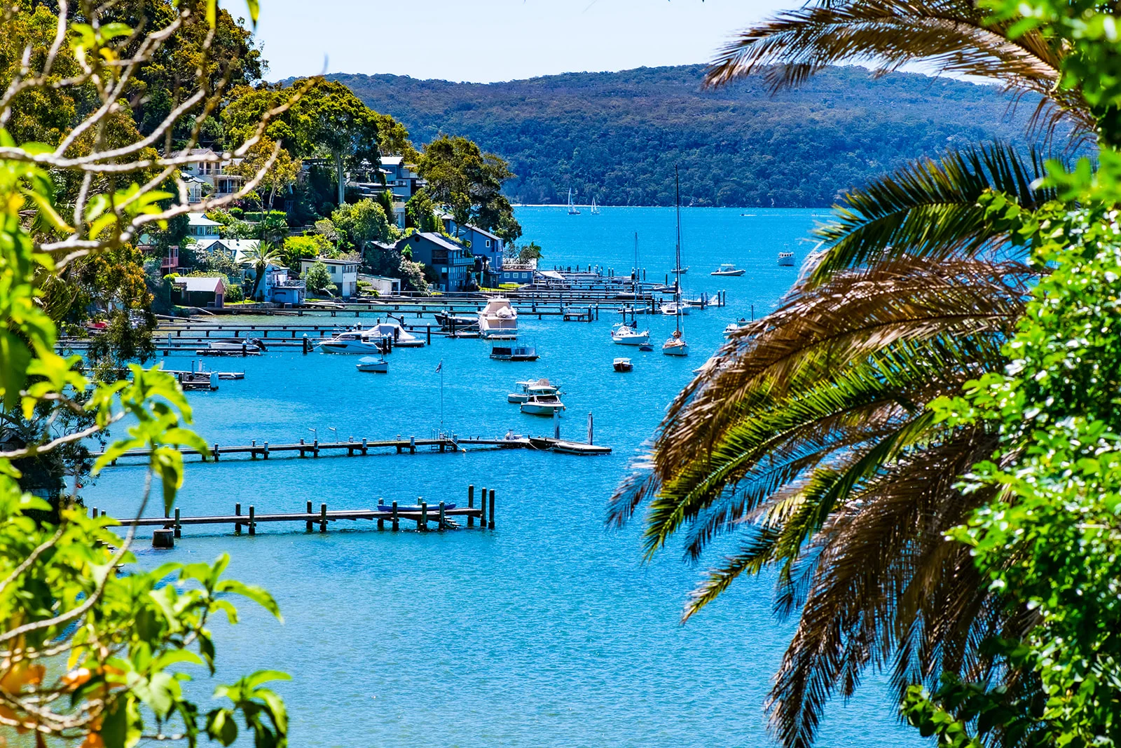 Additional image 15 of 137 George Street, Avalon Beach NSW 2107