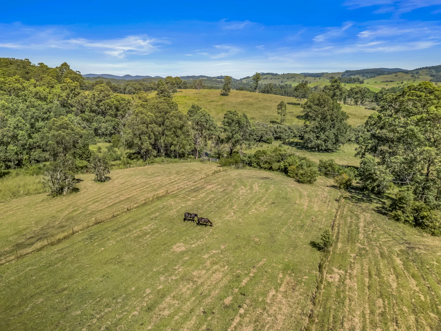 Additional image 17 of 73 Terreel Road, Wards River NSW 2422