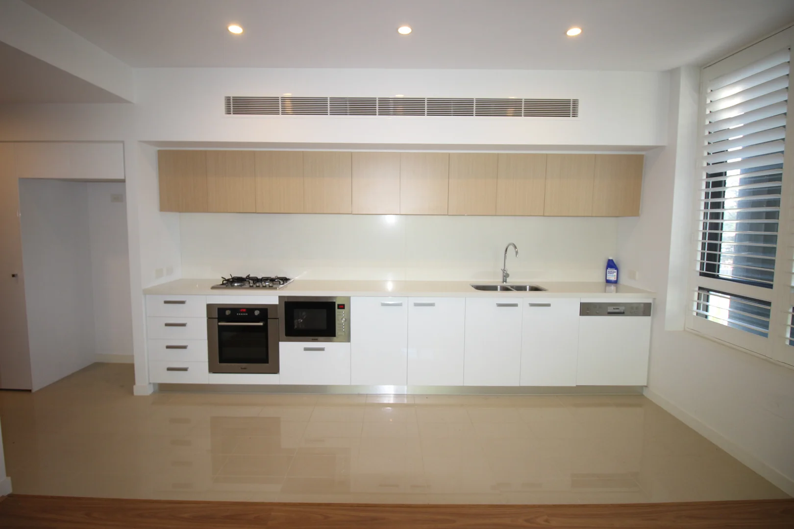 106N/2 Lardelli Drive, Ryde NSW 2112 photo 3