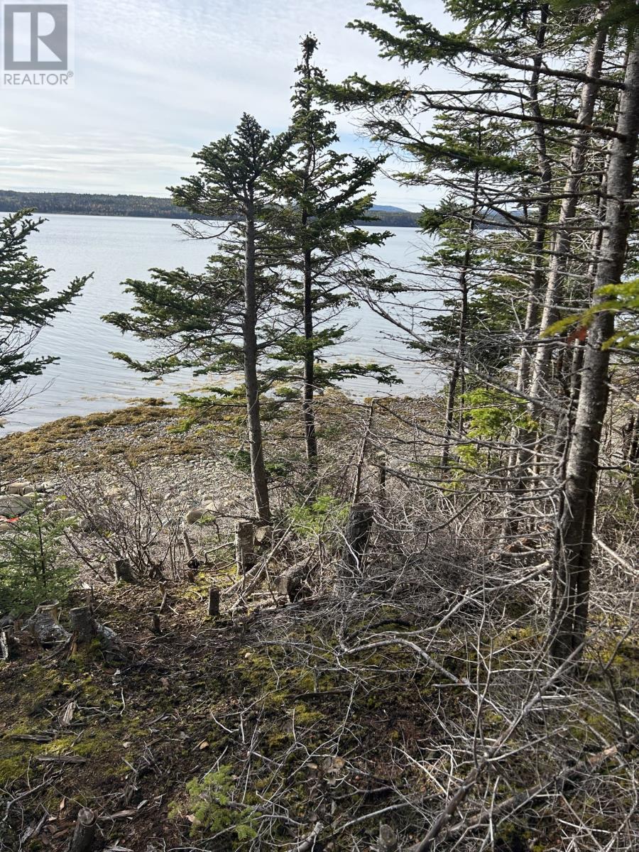 Lot #2, Route 232 Smith Sound Road