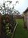 Additional image 25 of Cinder Lane, Woodplumpton, Preston