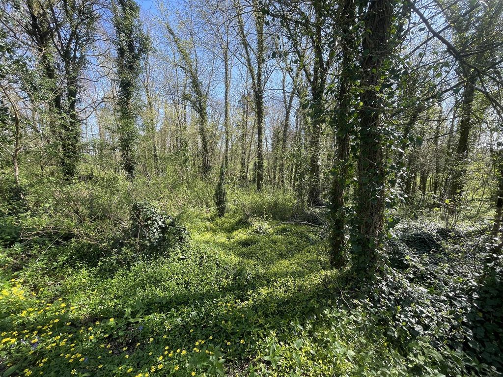 Additional image 2 of Land for saleBradford Lane, Longburton, Sherborne DT9
