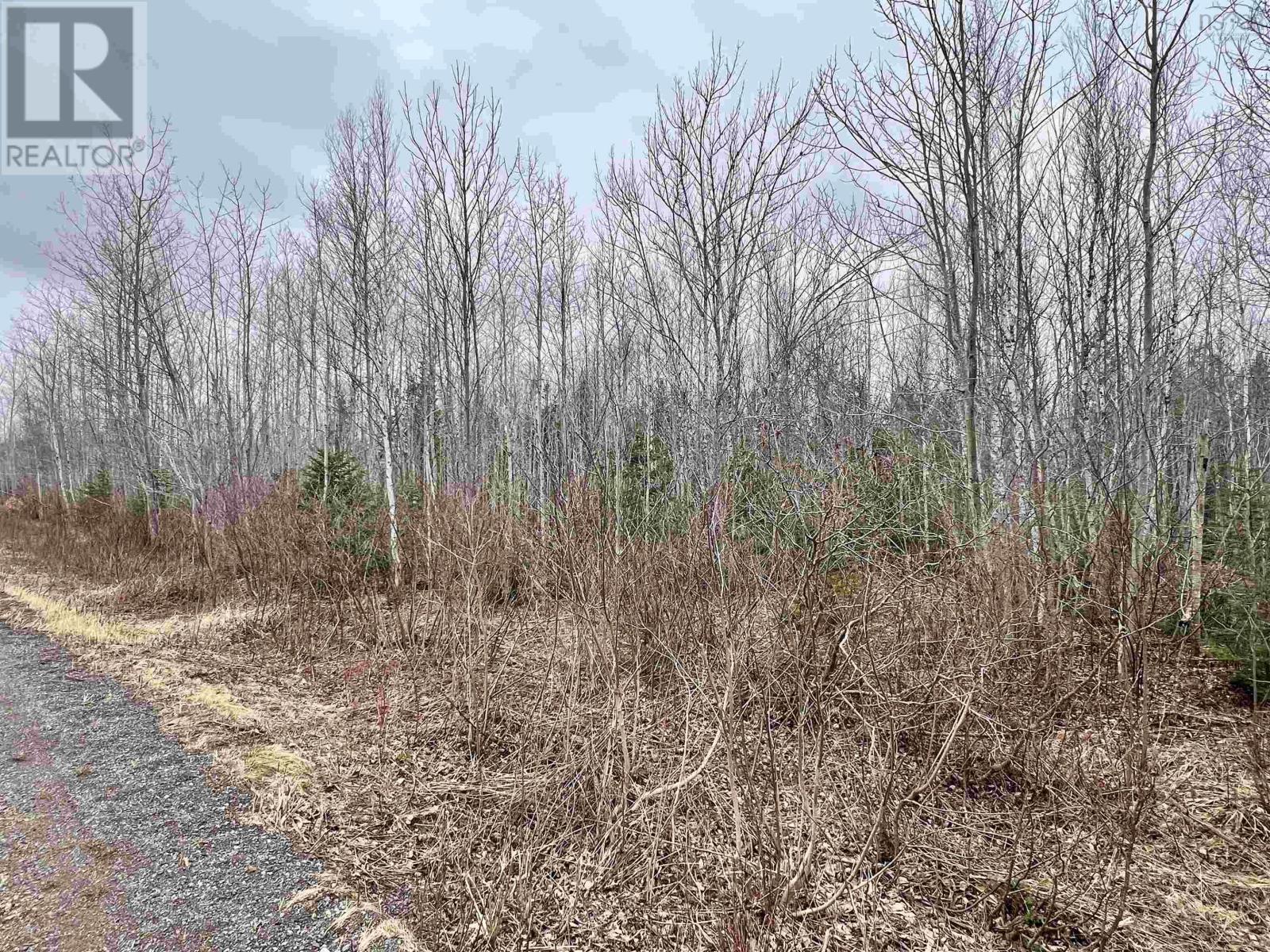 Dufferin Road