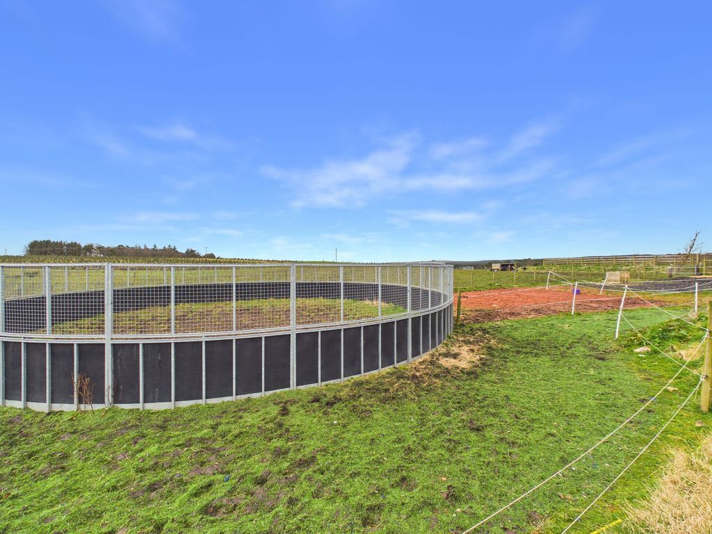 Additional image 23 of 4 bed equestrian for saleForth, Lanark ML11