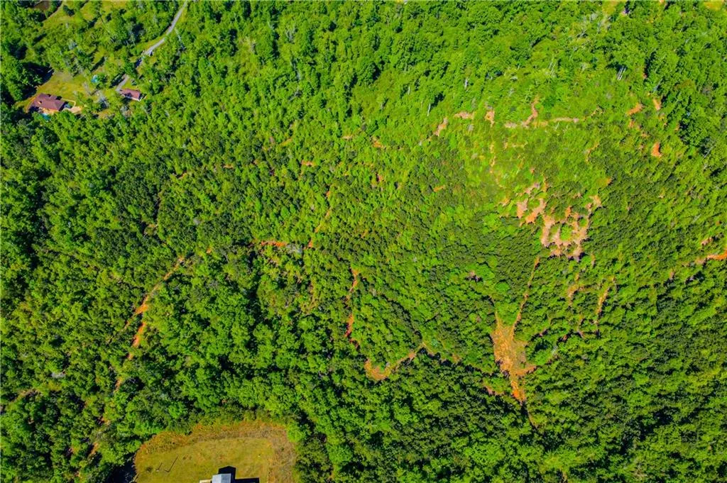 Additional image 18 of Lee Road 293, Smiths Station, AL 36877
