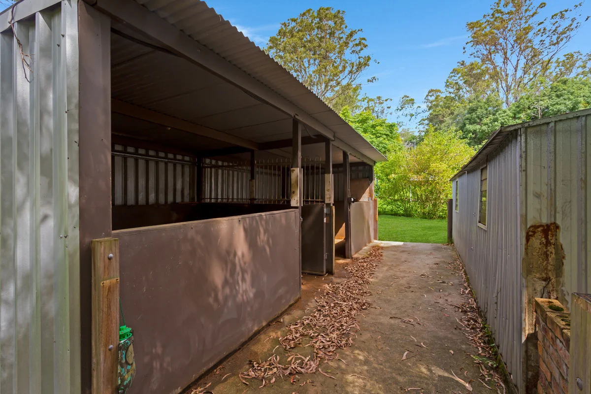 Additional image 3 of 58 Coorabin Court, Tallebudgera QLD 4228