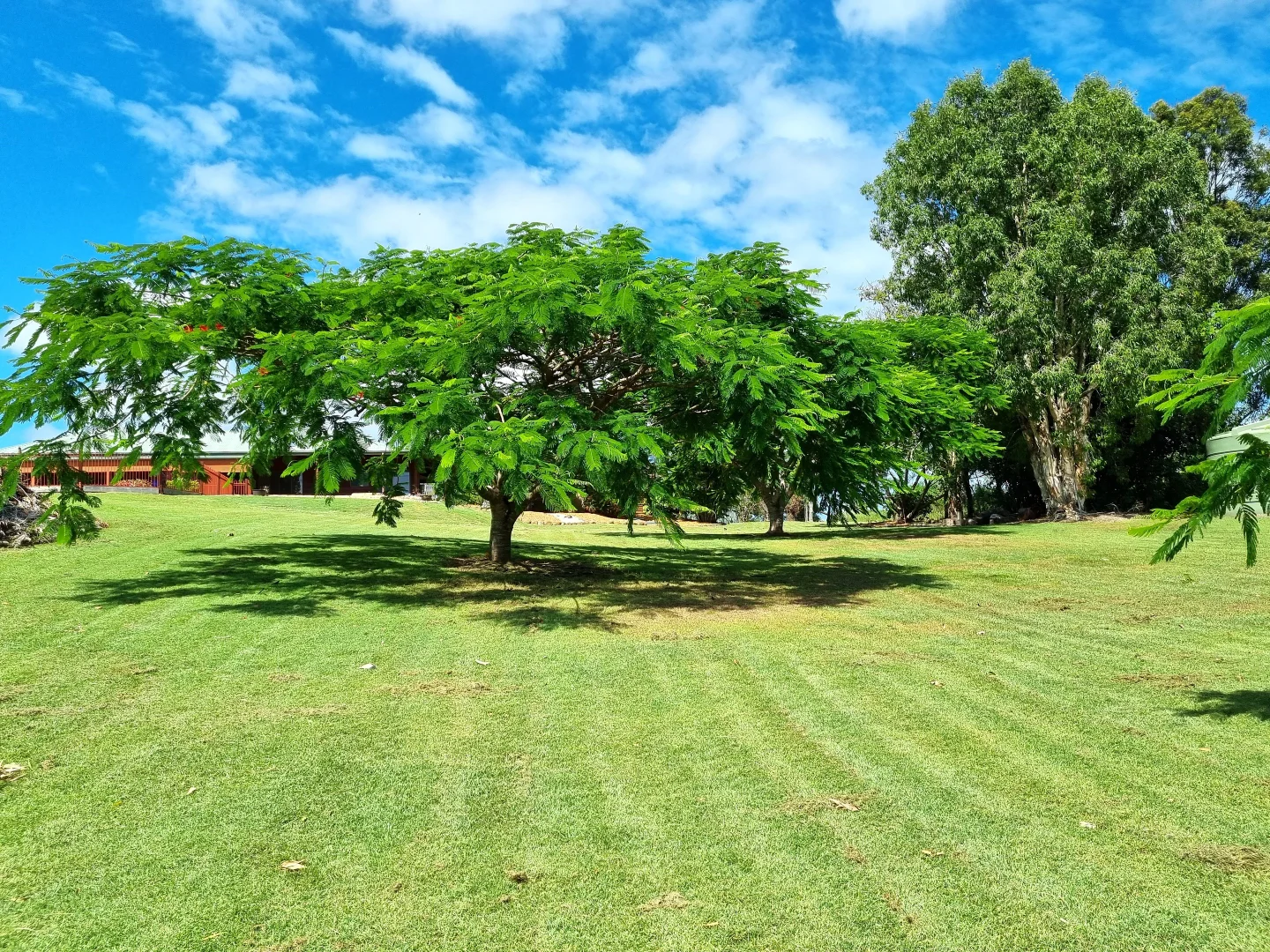Additional image 18 of 20 Daveys Drive, Branyan QLD 4670