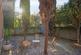 Additional image 10 of Priory Grove, London SW8