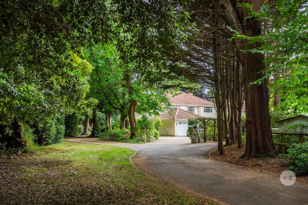 Additional image 6 of Pinetree Drive, Wilderton Road, Branksome Park, Poole, BH13 6EE