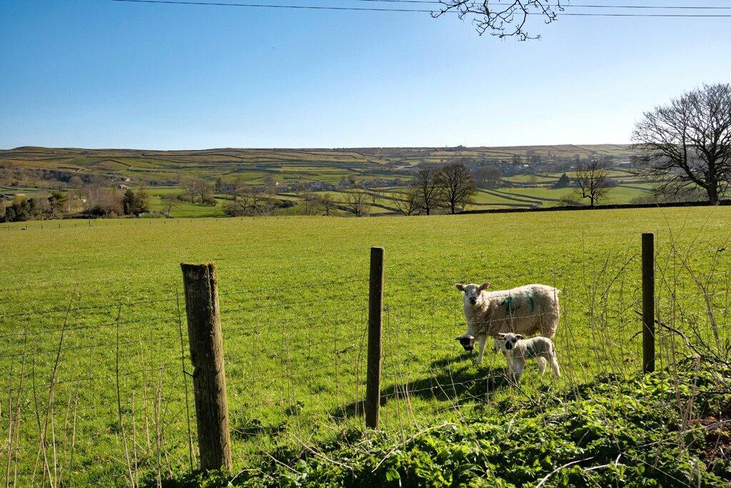 Additional image 5 of High Winds, Wharfeside Avenue, Threshfield, Grassington, BD23 5BS