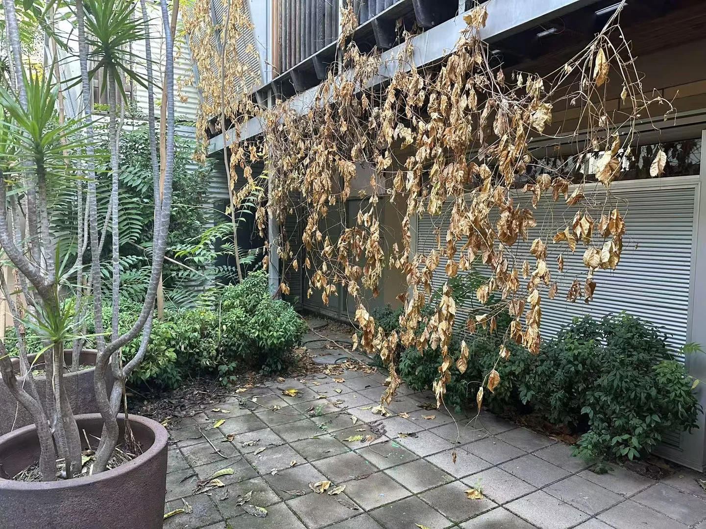 Additional image 9 of 2/4 Davey Street, Parkside SA 5063