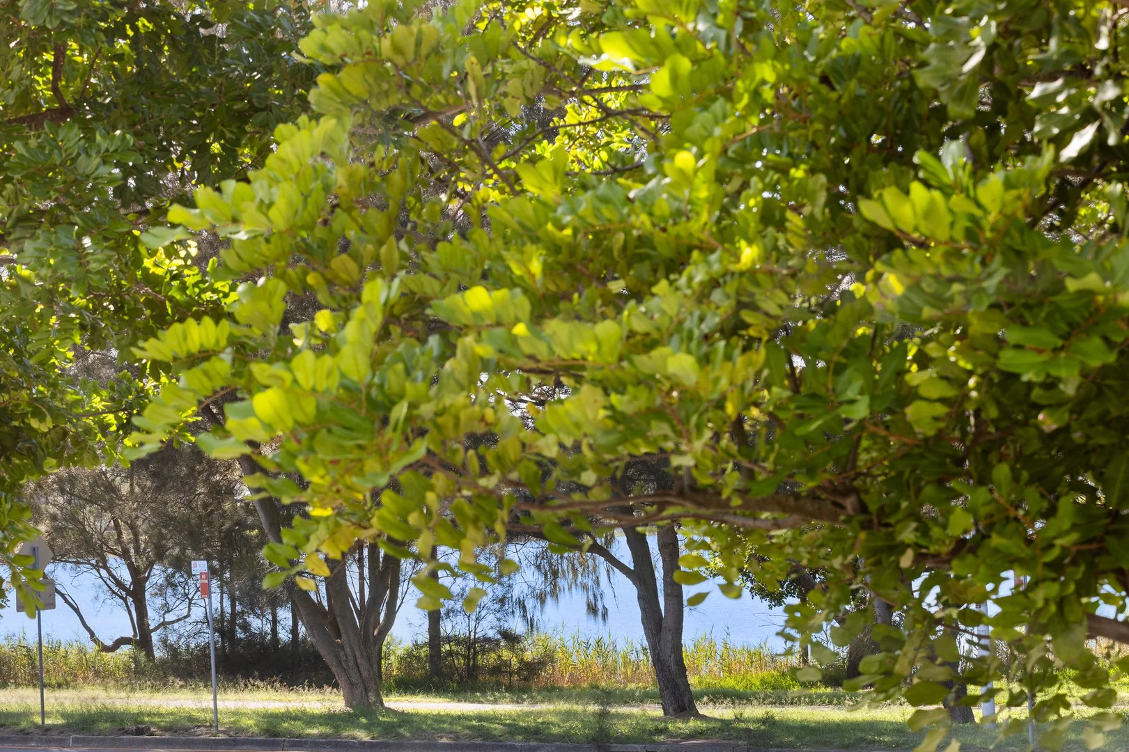 Additional image 6 of 1/1461 Pittwater Road, North Narrabeen NSW 2101