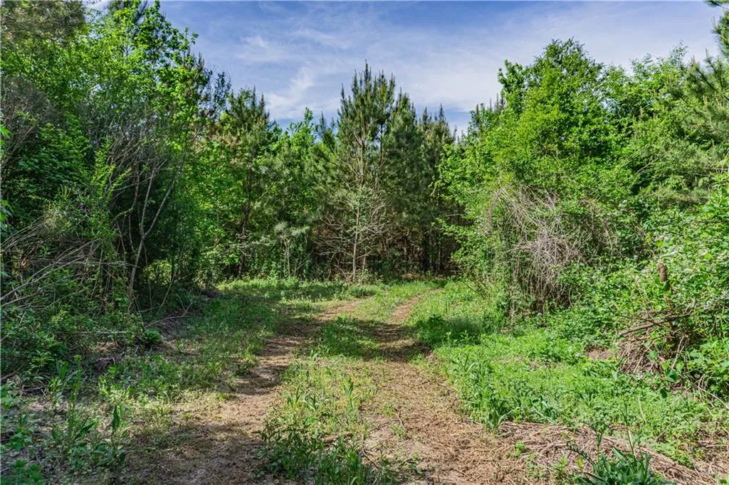Additional image 8 of Lee Road 293, Smiths Station, AL 36877