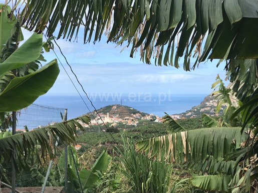 Santo Antônio (Funchal) photo 3
