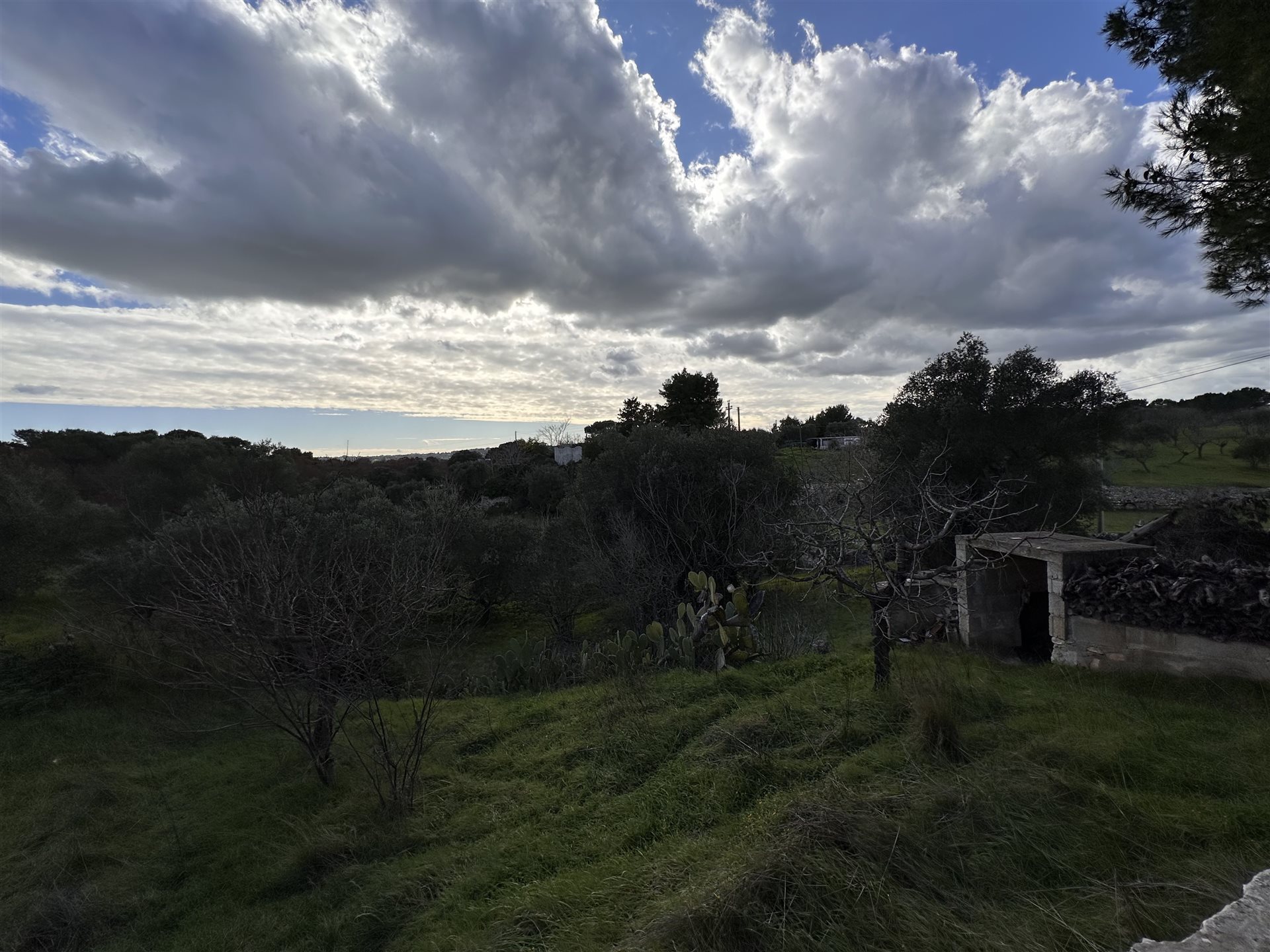 Additional image 7 of Ostuni (Provincia di Brindisi)
