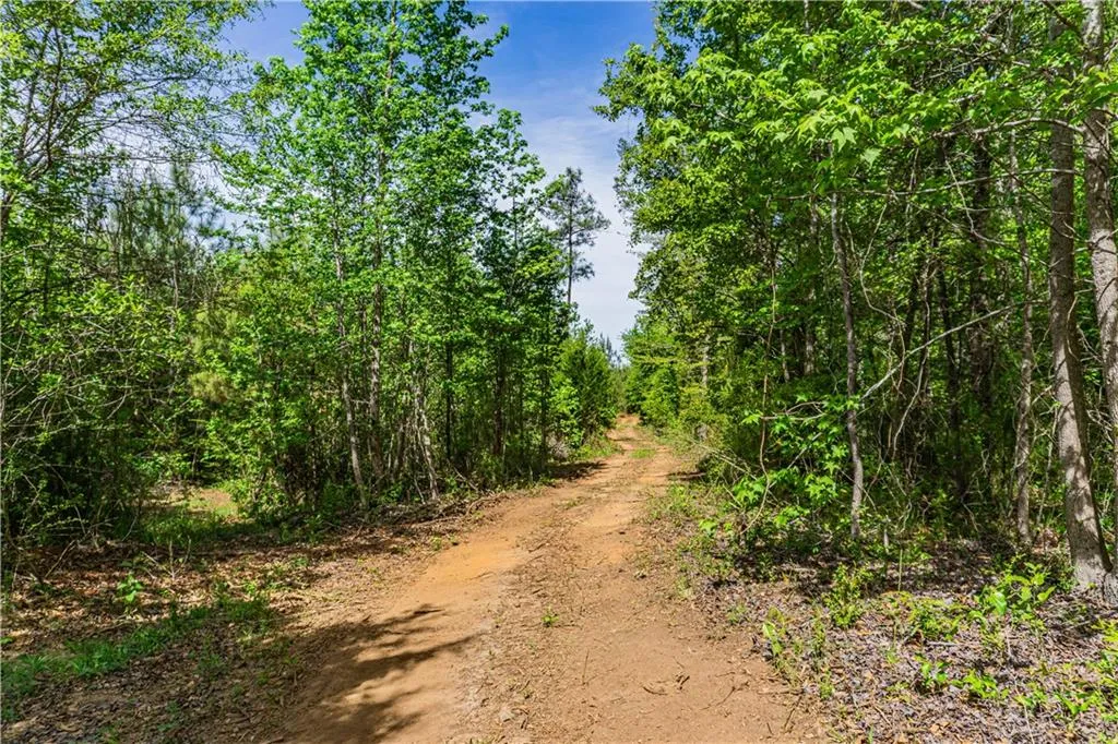 Additional image 4 of Lee Road 293, Smiths Station, AL 36877
