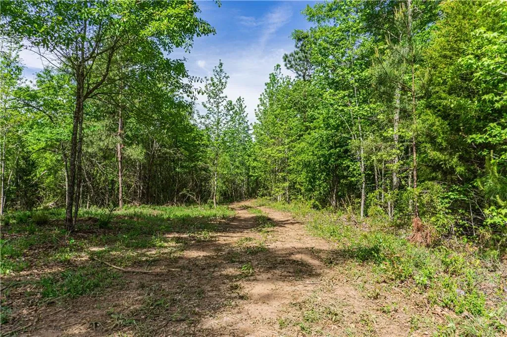 Additional image 16 of Lee Road 293, Smiths Station, AL 36877