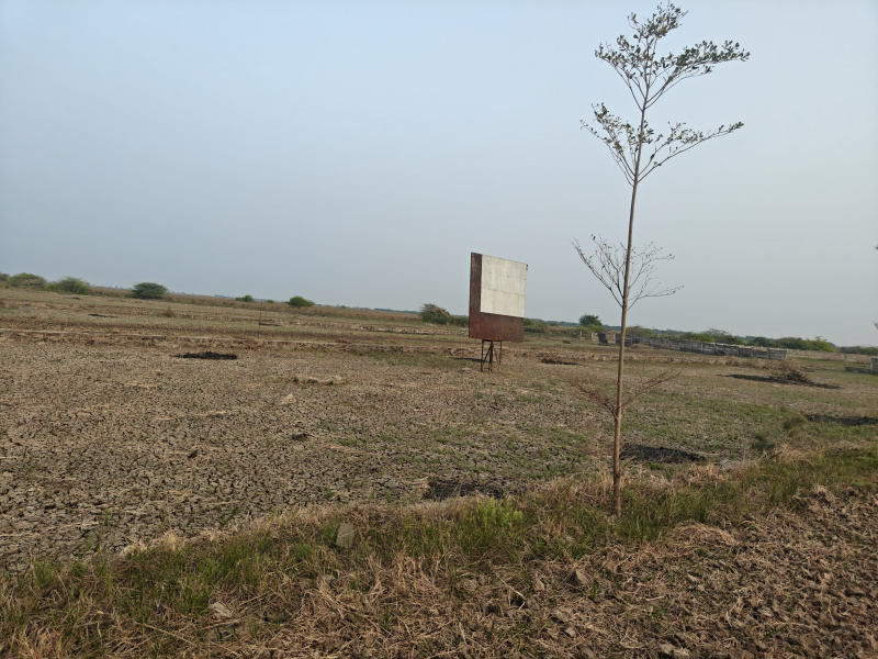Additional image 2 of Dholera, Ahmedabad