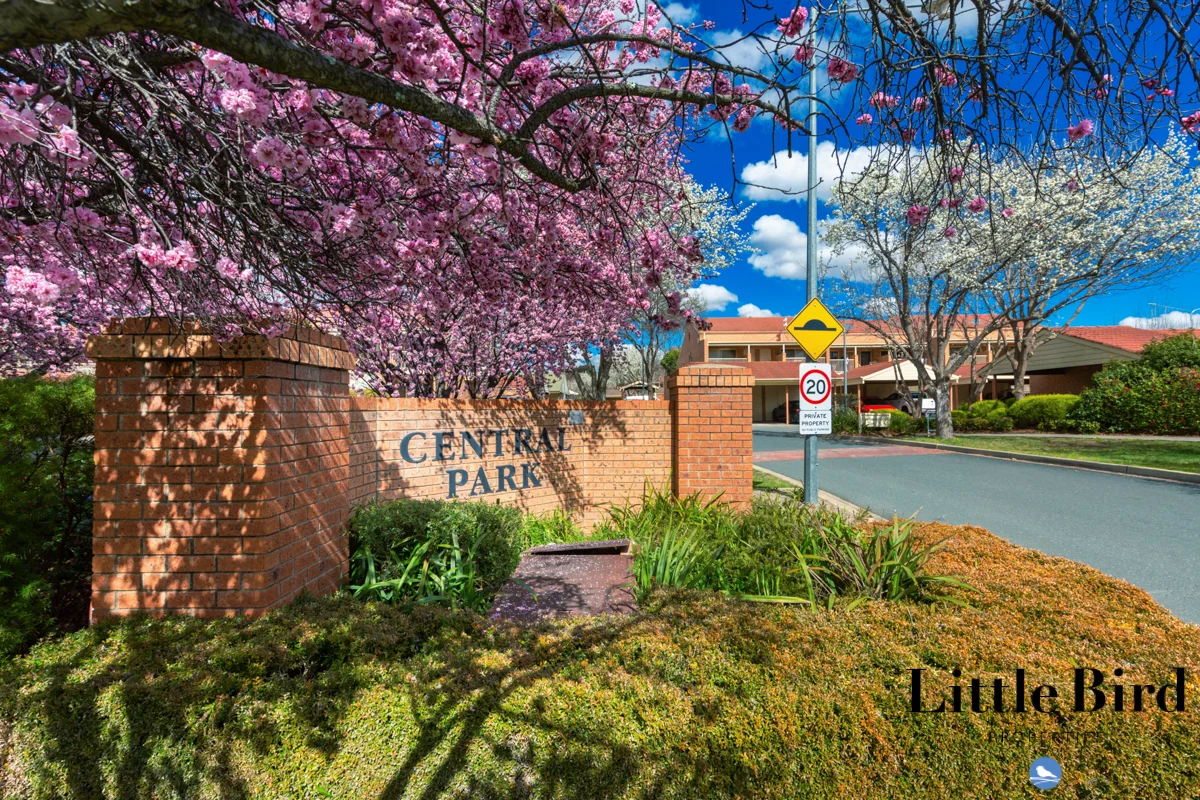 74b/12 Albermarle Place, Phillip ACT 2606