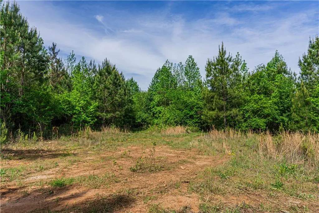 Additional image 6 of Lee Road 293, Smiths Station, AL 36877