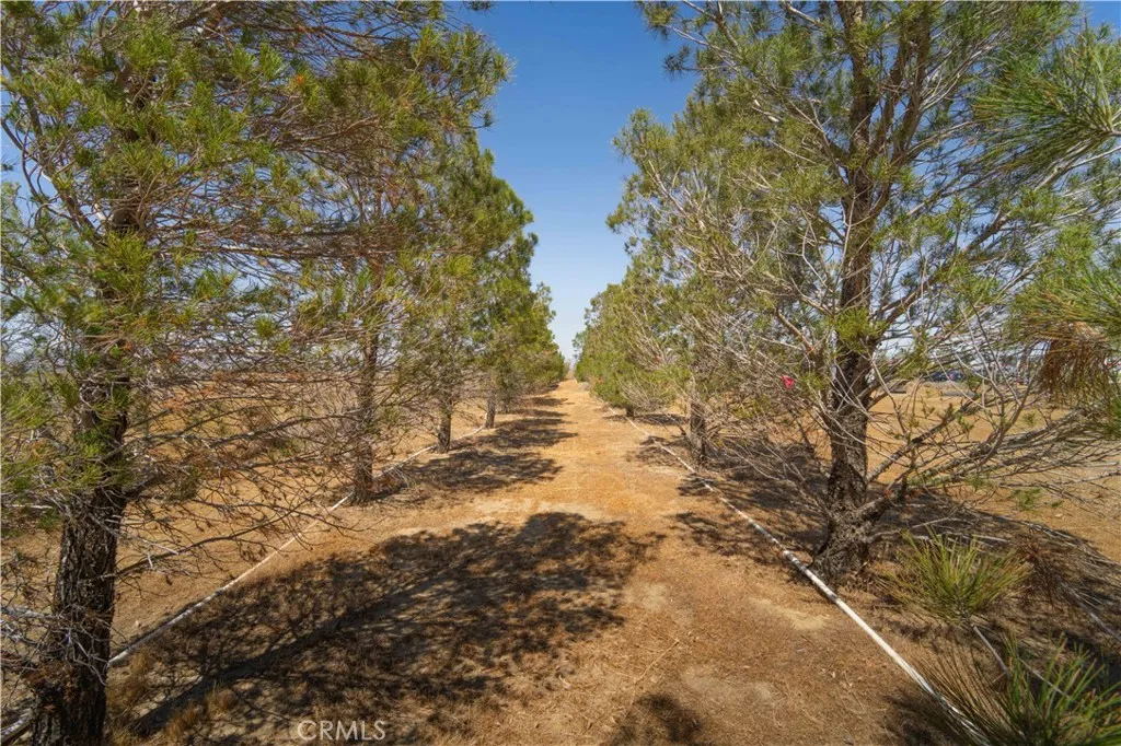 Additional image 76 of 50725 70th St W, Lancaster, CA 93536