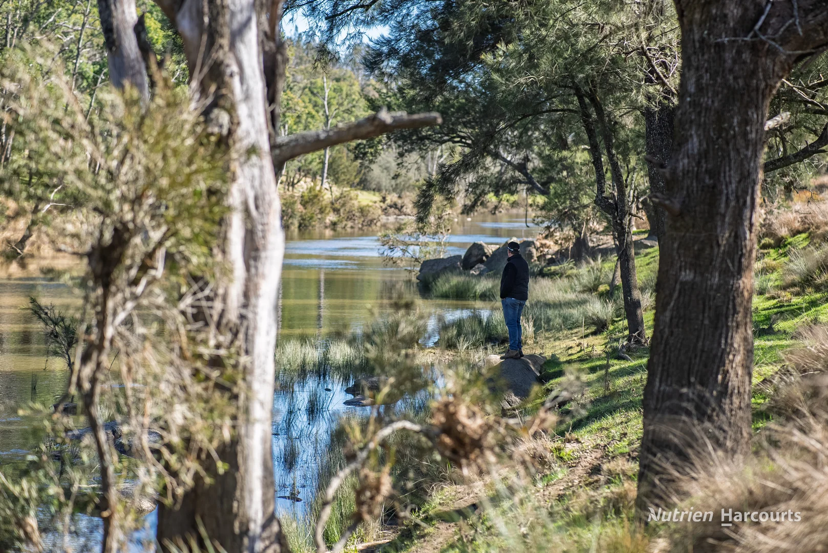 Additional image 15 of Rocky Glen Road, Kingstown NSW 2358