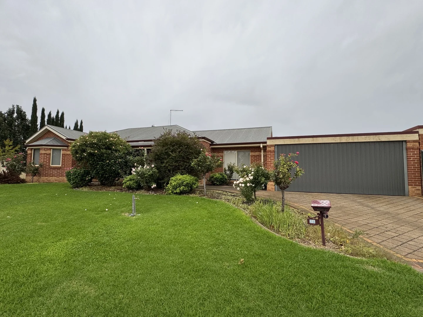 24 Teleki Drive, Irymple VIC 3498