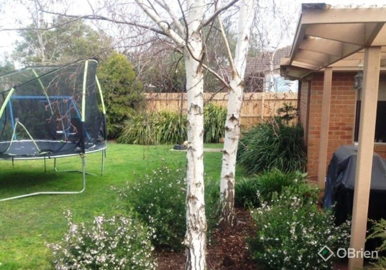 Additional image 10 of 6 Flora Road, Mount Martha VIC 3934