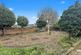 Additional image 31 of Parliament Road, Mansfield, NG19
