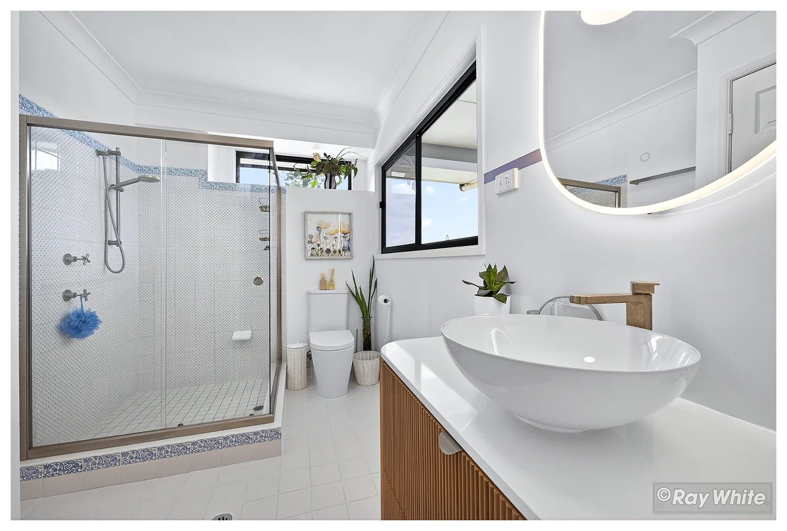 Additional image 67 of 12 Macgregor Street, The Range QLD 4700