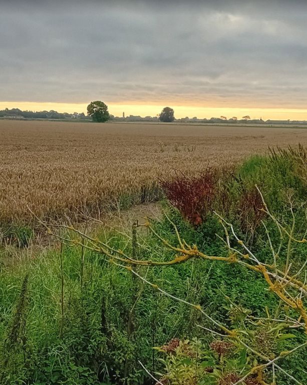 Additional image 16 of Land for saleThe Poachers Country Hotel. Kirton Holme, Boston PE20