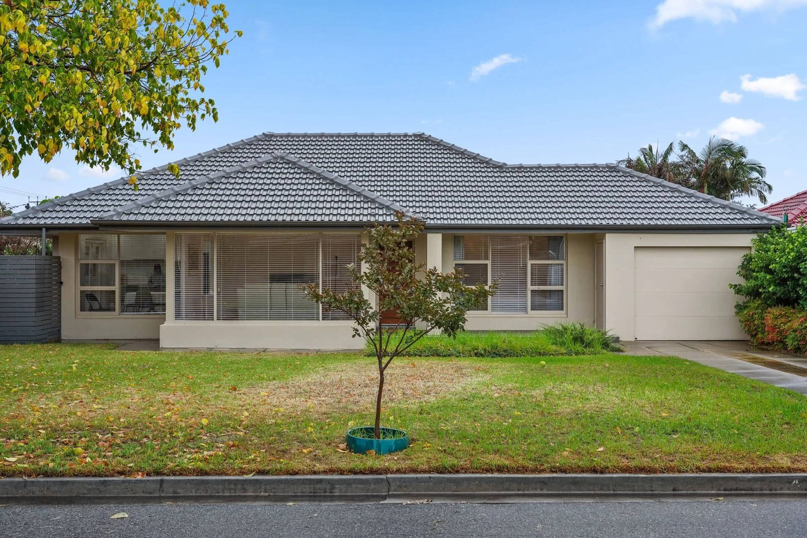4 Paula Ct, Glengowrie SA 5044