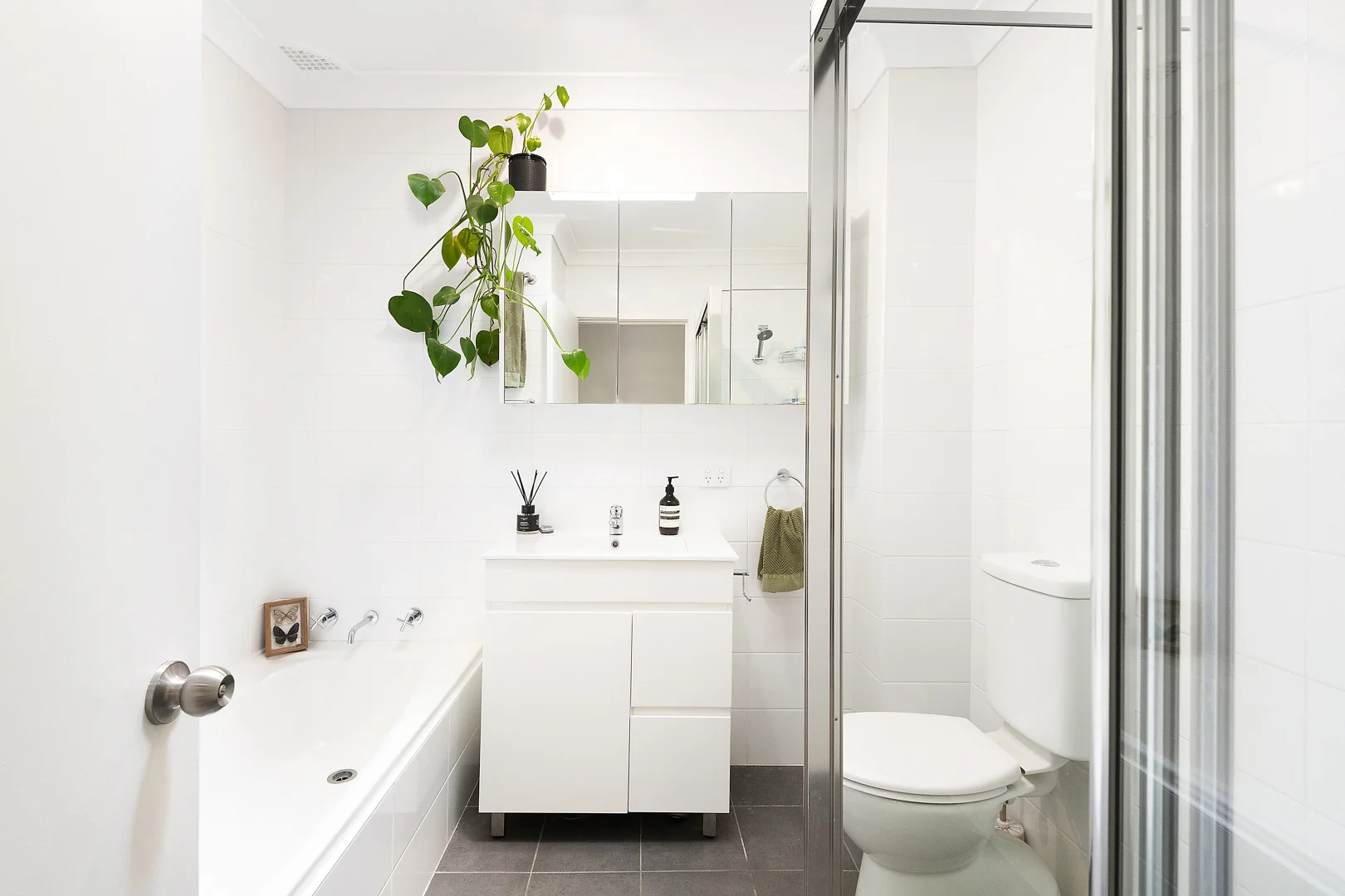 Additional image 6 of 11/74-76 Floss Street, Hurlstone Park NSW 2193